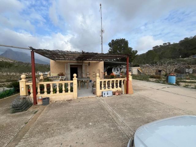 Local, La Villajoyosa / Vila Joiosa