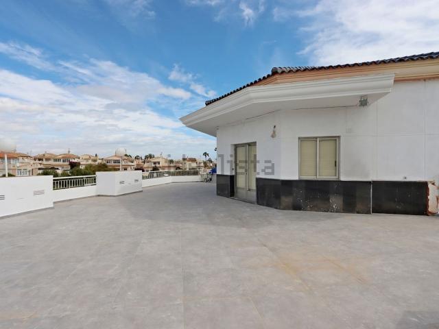 Local, La Zenia, Orihuela