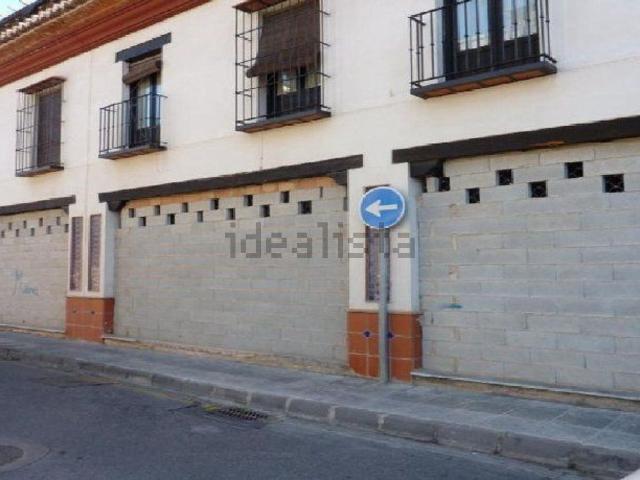 Local, La Zubia
