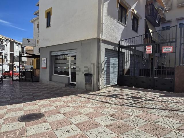 Local, La Zubia
