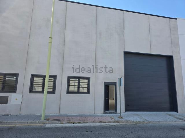 Local, La Zubia