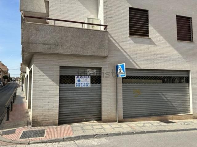 Local, La Zubia