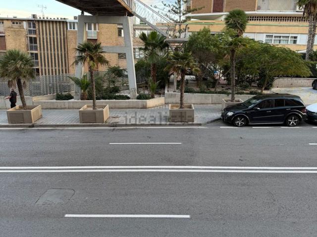 Local, La Albufereta, Alicante / Alacant