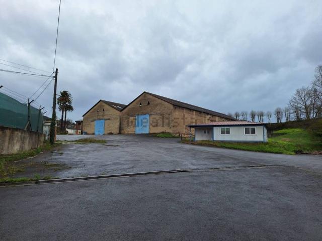 Local, La Calzada, Gijón