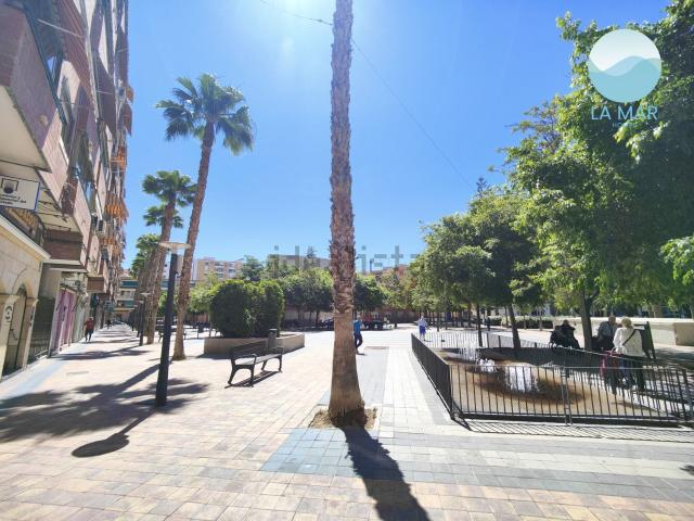 Local, La Florida Portazgo, Alicante / Alacant