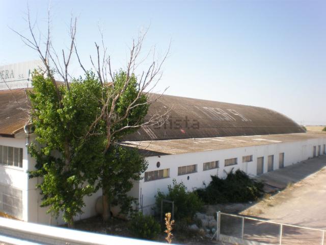 Local, La Gineta