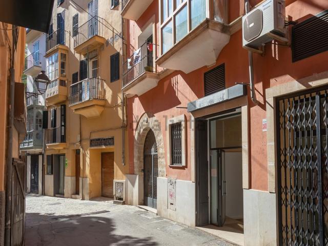 Local, La Llotja, Palma de Mallorca