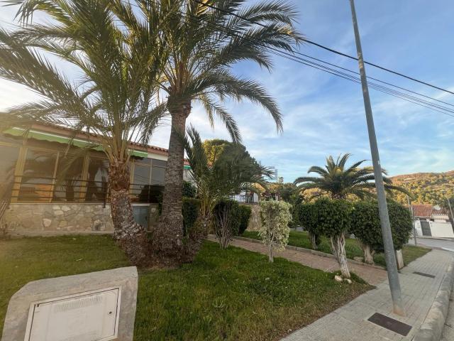 Local, La Nucia