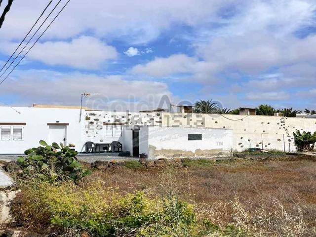 Local, La Oliva