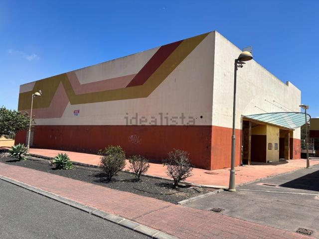 Local, La Oliva