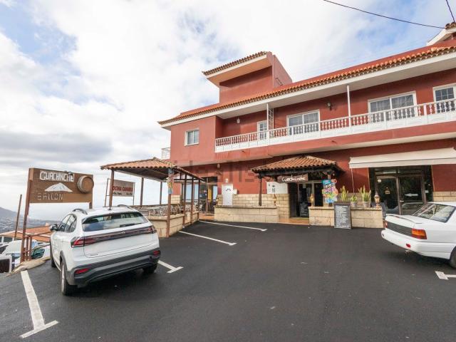 Local, La Orotava