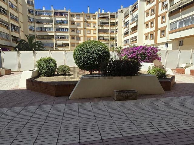 Local, La Princesa, Málaga