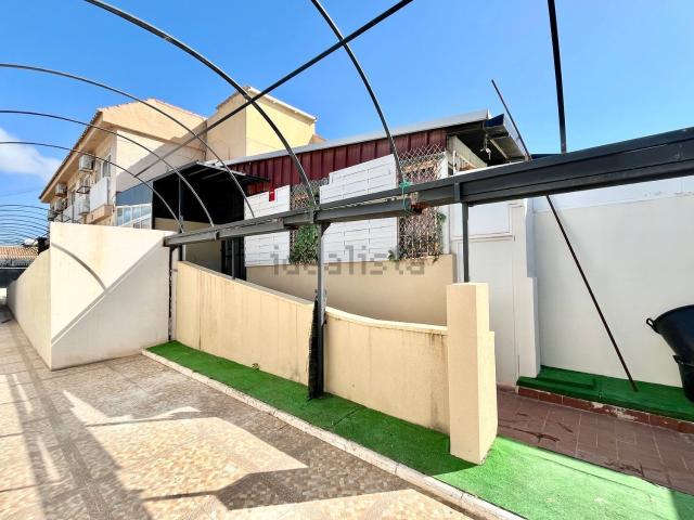 Local, La Regia, Orihuela