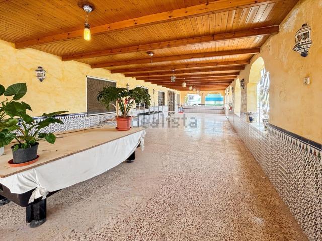 Local, La Romana