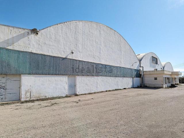 Local, La Sénia