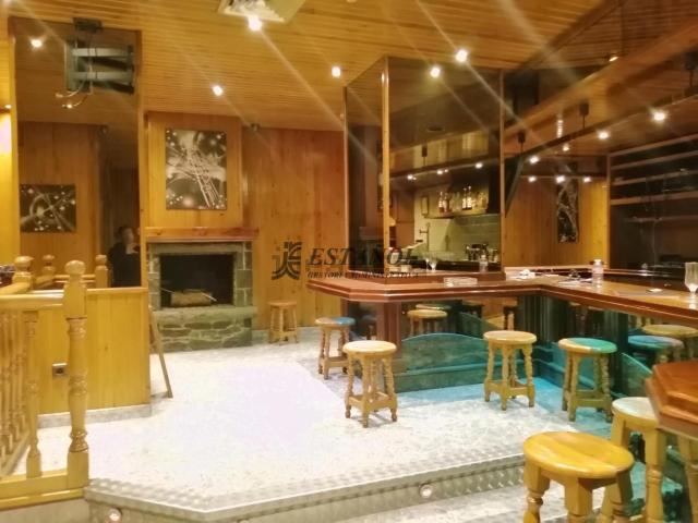 Local, La Seu d&apos Urgell