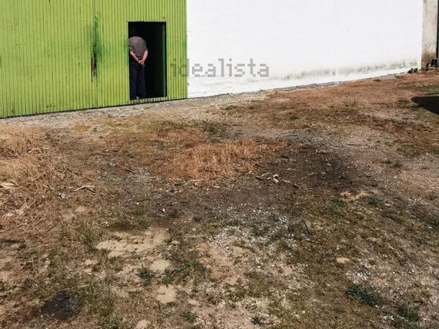 Local, Lalueza