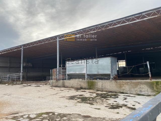 Local, Larrodrigo