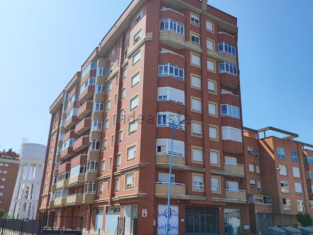 Local, León