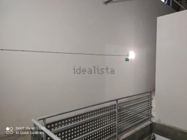 Local, León