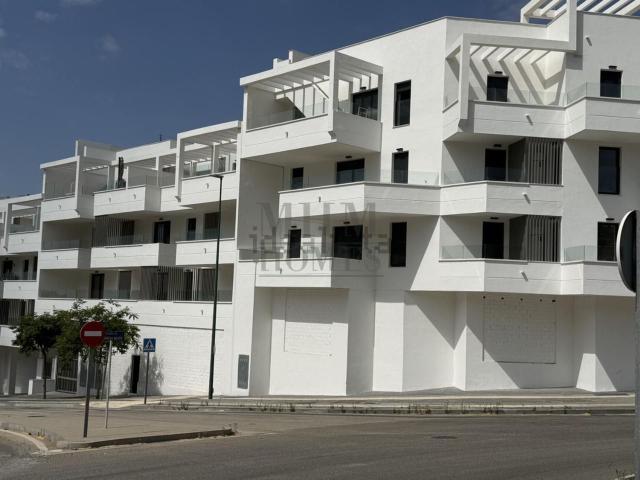 Local, Limonar, Málaga