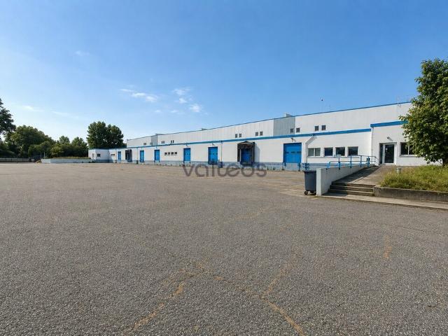 Local logistique SEVESO à louer Grisolles Accès D820