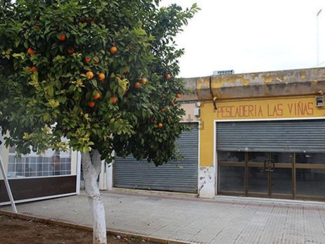 Local, Lora del Río
