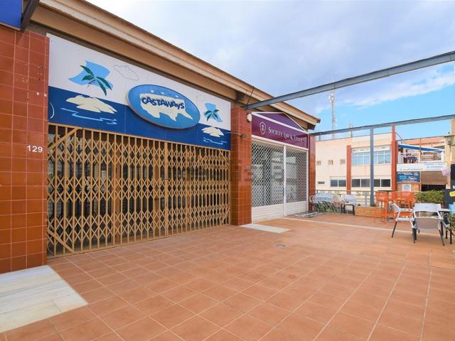Local, Los Dolses, Orihuela