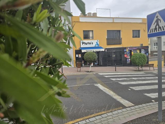 Local, Los Realejos