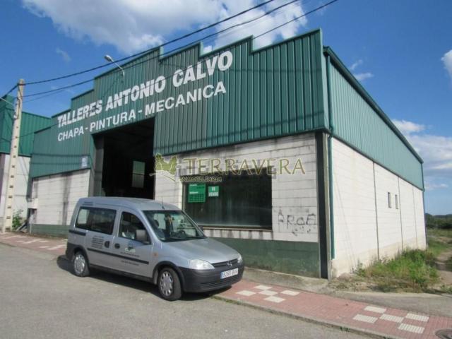 Local, Losar de la Vera