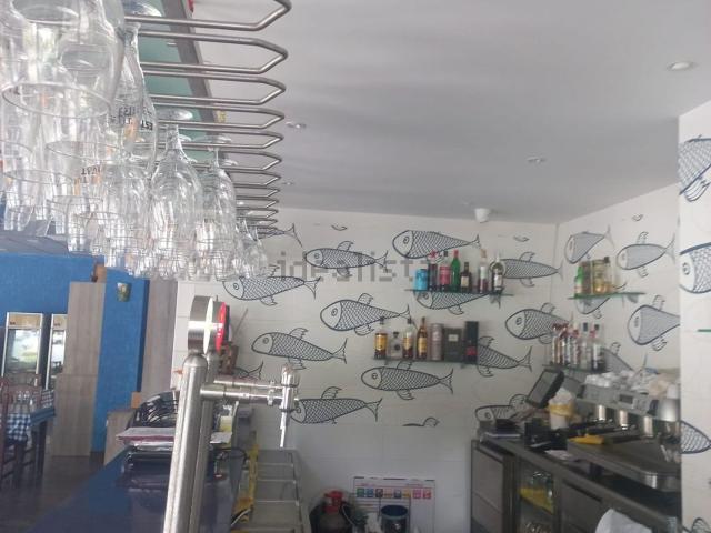 Local, Lloret de Mar