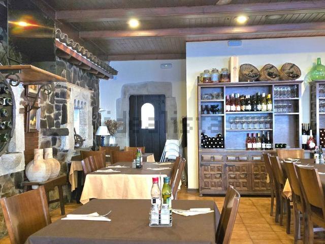 Local, Lloret de Mar