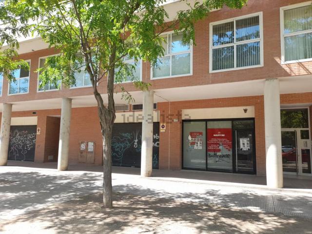 Local, Lleida