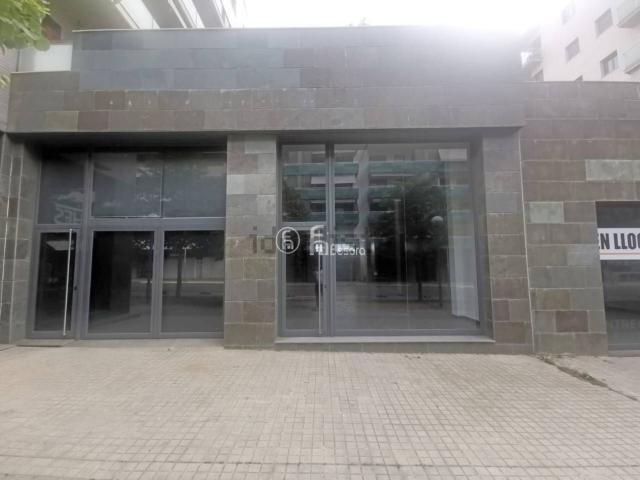 Local, Lleida