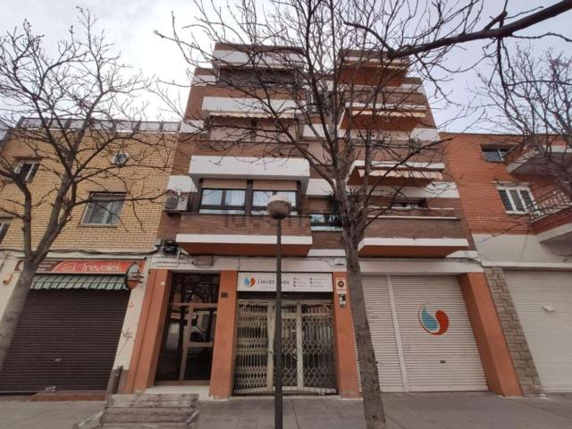 Local, Lleida