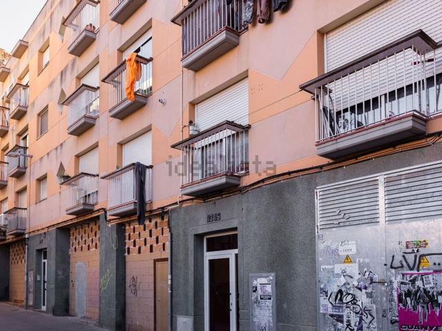 Local, Lleida