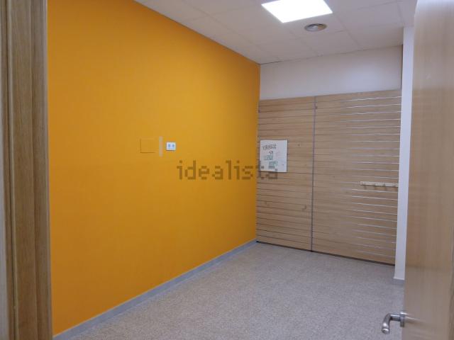 Local, Lleida