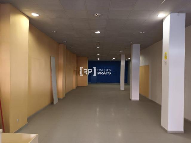 Local, Lleida