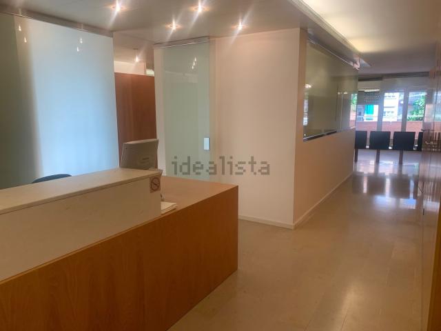 Local, Lleida