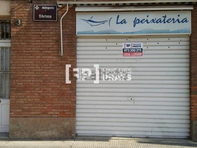 Local, Lleida
