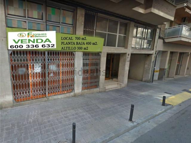 Local, Lleida