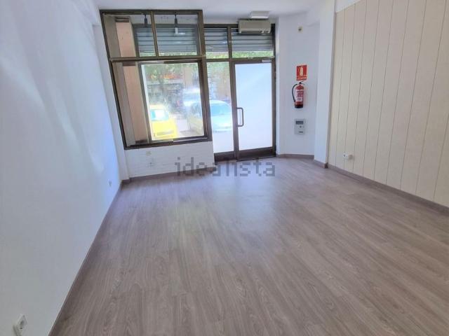 Local, Lleida