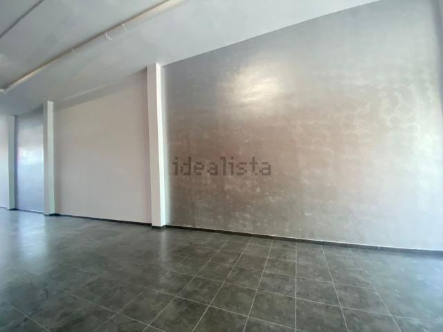Local, Lleida