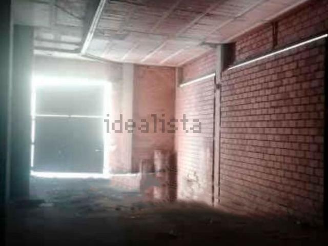 Local, Lleida
