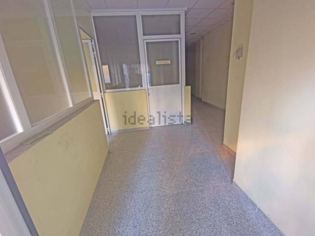 Local, Lleida