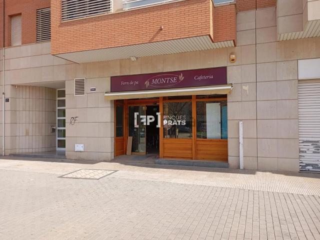 Local, Lleida