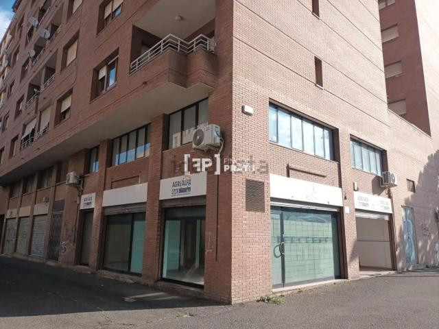 Local, Lleida