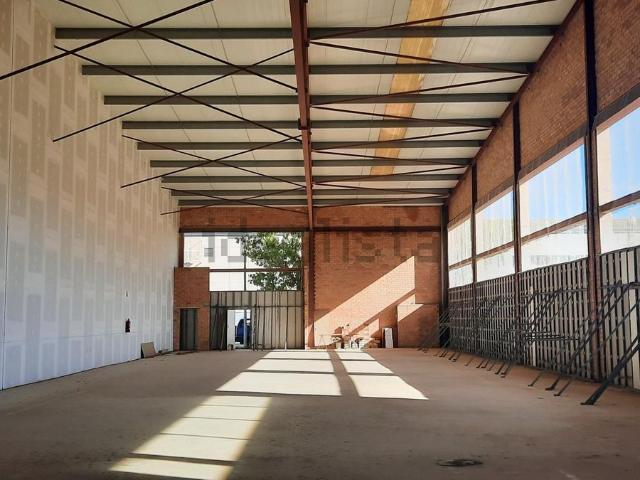 Local, Lleida