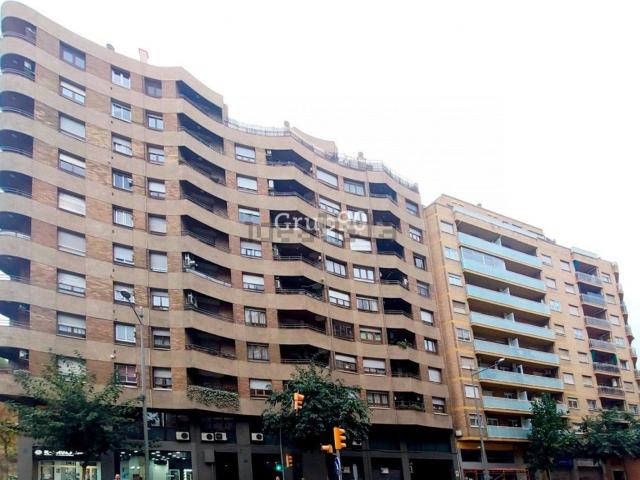 Local, Lleida