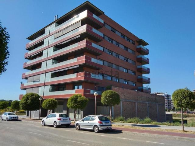 Local, Lleida
